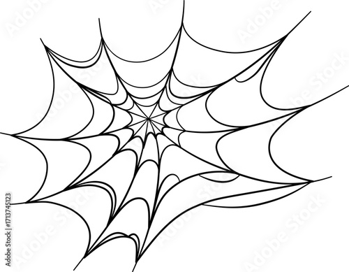 Spider web isolated. Spiderweb for autumn halloween design.