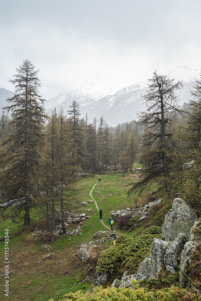 Obraz premium A group of hikers crossing a rainy valley in the Alps