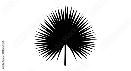 A striking black silhouette of a palm leaf showcasing its intricate radiating fronds and central stem against a pure white background.