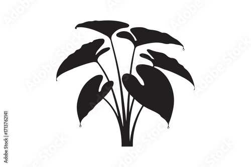 Colocasia tree silhouette vector illustration, Set of Colocasia tree silhouette vector 