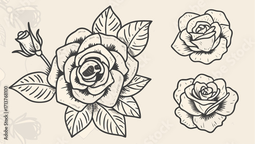 Elegant vintage rose drawing for tattoo design and floral illustrations, perfect for timeless beauty and artistic expressions, a classic botanical graphic
