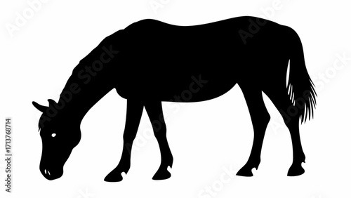 Elegant horse silhouette peacefully grazing in pasture, creating a serene and natural scene, scalable vector graphic