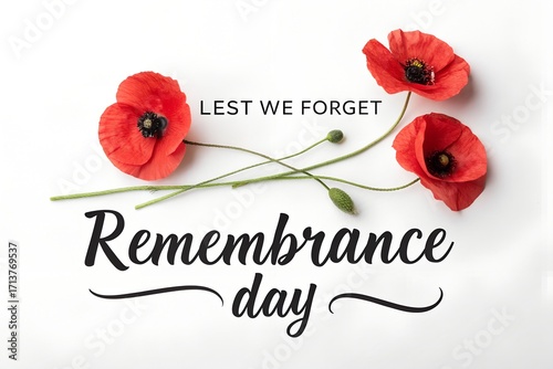 Remembrance day with red poppy flower isolated on white background