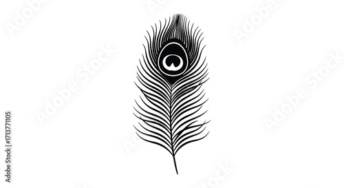 A single detailed peacock feather presented in black and white tones