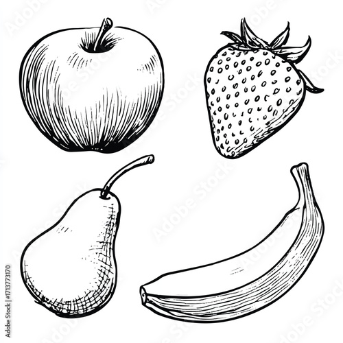 Hand drawn monochrome vector illustration of fresh apple strawberry pear and banana isolated on white background healthy lifestyle