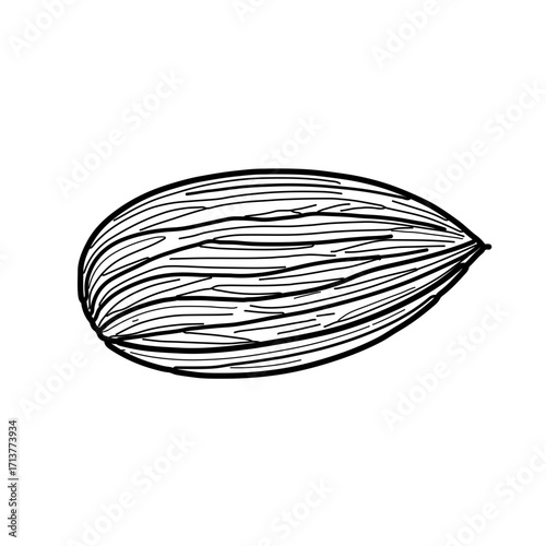 A striking black and white icon of a single almond, focusing on its distinct shape and elegant line patterns. This design embodies a minimalist yet powerful character