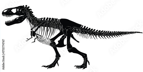 Tyrannosaurus Rex Skeleton Illustration on White Background Perfect for Science and Paleontology Projects Design and Education