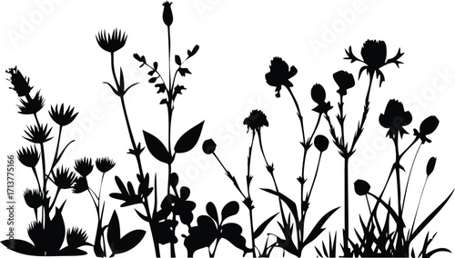 Flower Field Silhouette Black and White Illustration of Wildflower Meadow with Blossoms and Leaves