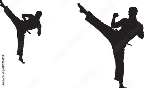 Silhouettes of martial artists performing a dynamic high kick in a clean white background