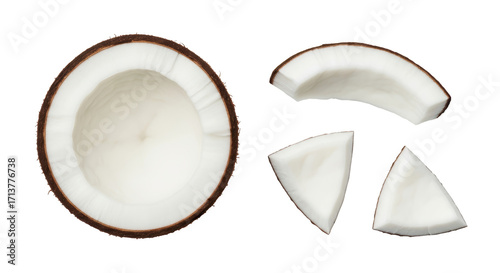 Canvas Print Isolated Coconut Halves and Slices, Tropical Fruit Pieces with Shell and White F