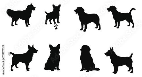 Silhouette collection displaying various dog breeds and a playful canine moment