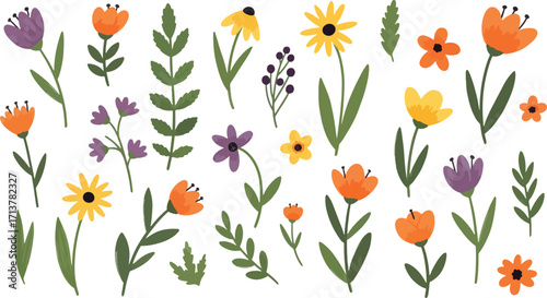 A colorful vector collection of hand-drawn wildflower illustrations. A large set of doodle-style flowers, blossoms, and leaves for spring and summer design, isolated eps file