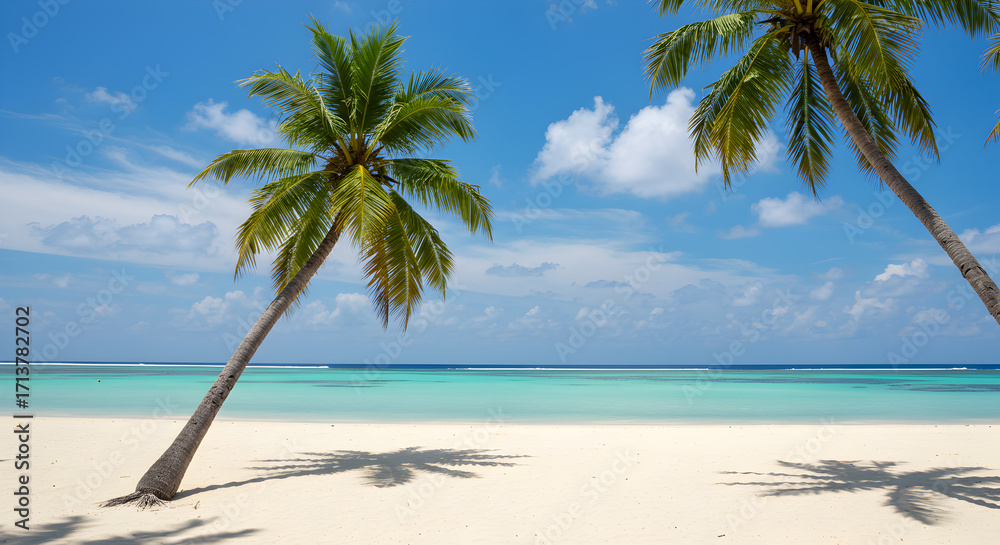 Obraz premium Idyllic Tropical Beach with Palm Trees White Sand and Turquoise Water under Cloudy Blue Sky