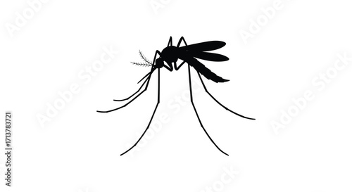 A detailed silhouette of a mosquito showcasing its slender body and wings