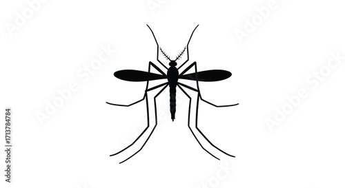 A simple black silhouette illustration of a mosquito on a white background