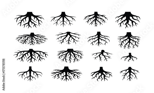 Collection of Black Silhouettes of Tree Roots on White Background