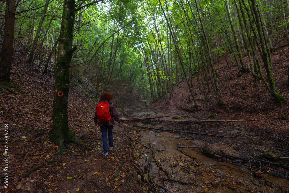 Obraz premium Woman hiking Valea Boiului trail
