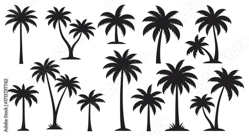 Silhouettes of various palm trees against a stark white background