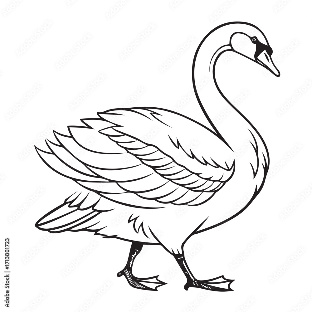 Obraz premium Elegant swan gracefully gliding, its pristine white feathers contrasting against a clean backdrop, isolated on white background, showcasing the birds serene beauty and poise