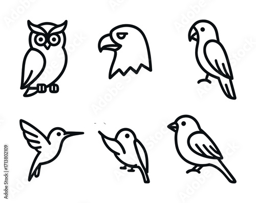 Outline illustrations of various bird species including owl, eagle, parrot, hummingbird, and sparrow