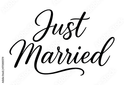 Elegant handwritten just married sign for weddings and celebrations