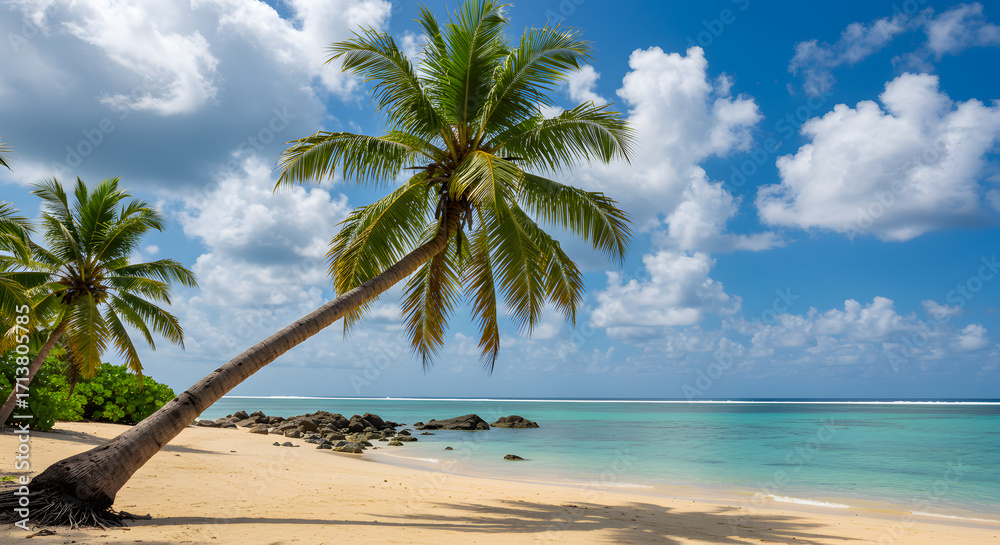 Obraz premium Tropical Beach Paradise with White Sand Turquoise Water Palm Trees and Blue Sky with Clouds in Summer Sunlight