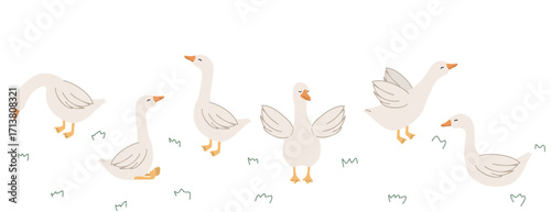 Set of cute hand drawn geese. Set of cute farm gooses in different poses vector collection. Agriculture birds. 