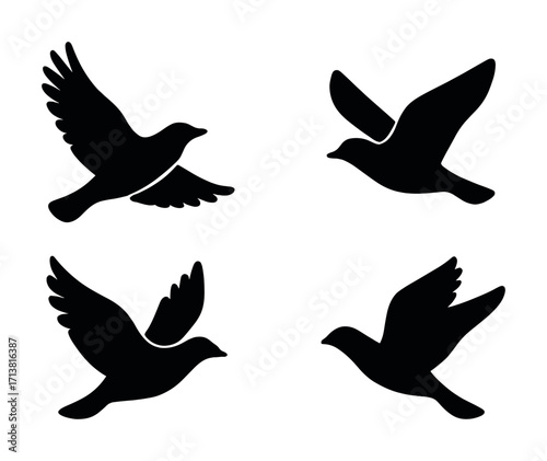 Set of four bird silhouettes in flight on white background