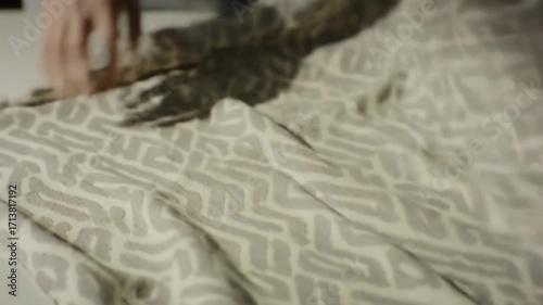 Soft, patterned fabric