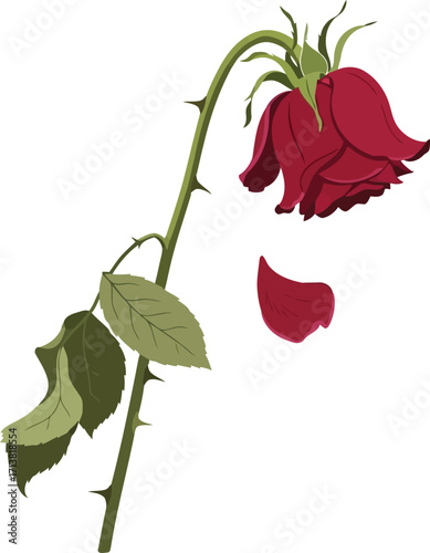 Wilting red rose sadness grief loss emotion vector