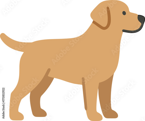 Simple Flat Design Retriever Dog Stand Illustration Shape Graphic