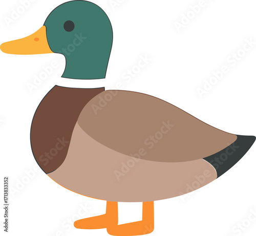 Flat Simple Mallard Duck Illustration Isolated Farm Animal Waterfowl Icon
