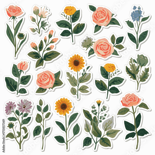 A collection of botanical stickers in vector format with solid colors and white background, featuring various plants and flowers in a minimal style