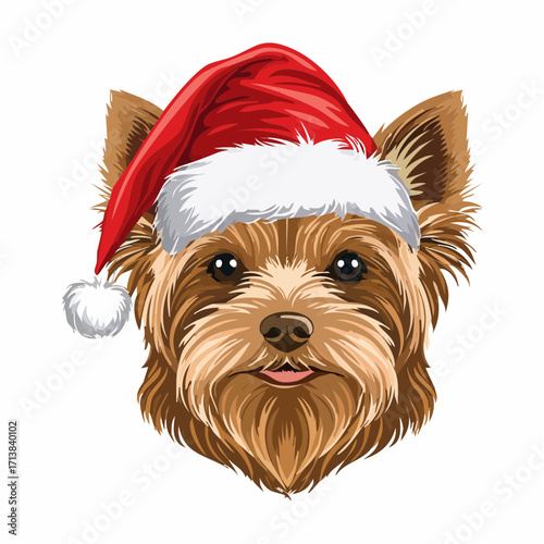 Tier mit Nikolausmütze