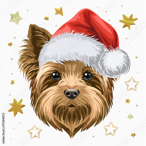 Tier mit Nikolausmütze