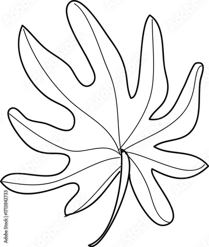 Line Art Illustration of a Single, Deeply Lobed Leaf with a Central Vein