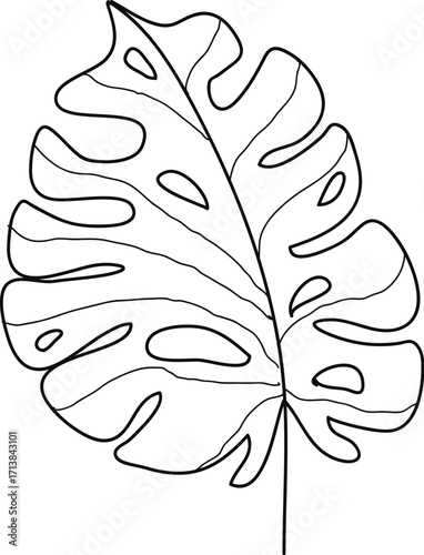 Stylized Outline of a Monstera Deliciosa Leaf with Distinctive Holes