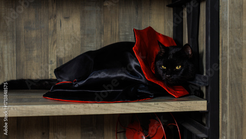 Portrait of cute black cat with yellow eyes in vampire costume for Halloween, lying on shelf wood dark background. Pet in wizard happy funny moments friendly ghost carnival holiday celebration concept