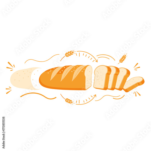 Bread transformation process illustration