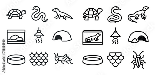 Reptile Icons Grid