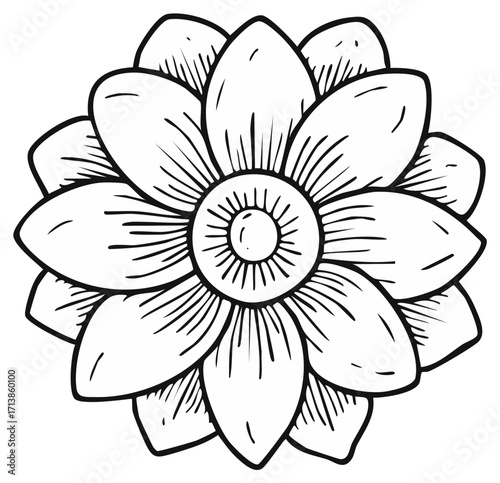 Black and white flower illustration with petals radiating outward, botanical design.