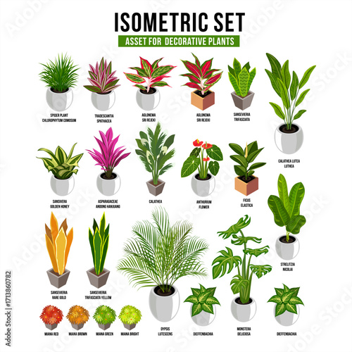 Isometric vector set of decorative plants in pots. Includes tropical leaves, flowers, and indoor greenery. Perfect for garden, botanical, home decor, and nature illustration projects.