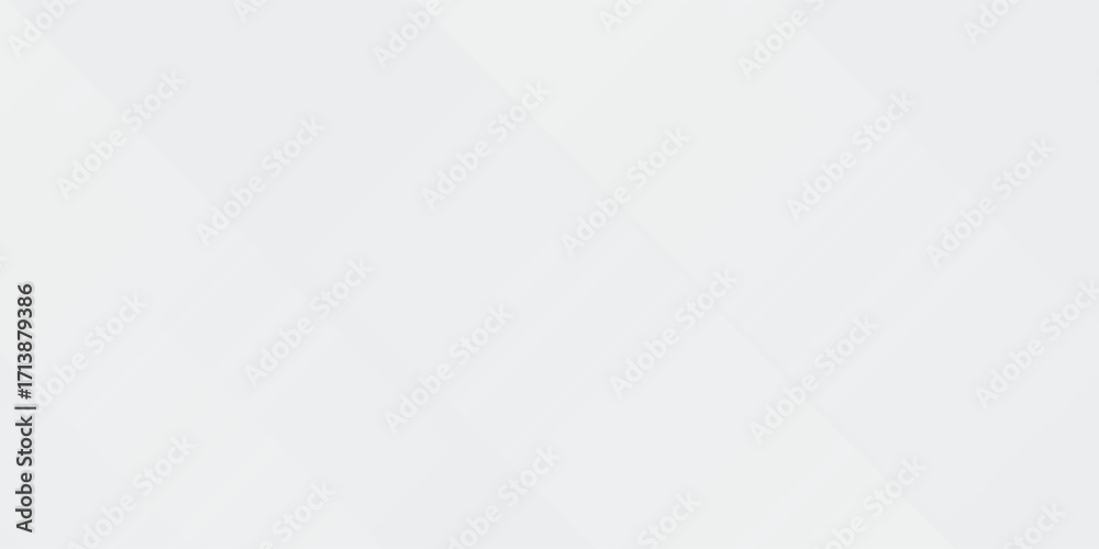 Fototapeta premium Simple white and gray background. smooth abstract background, blurred pattern. Light pale vector abstract