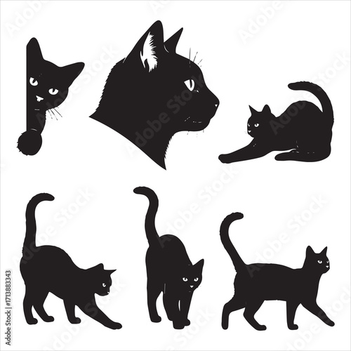 Six stylized black cat silhouettes in various poses, showcasing playful and alert postures.