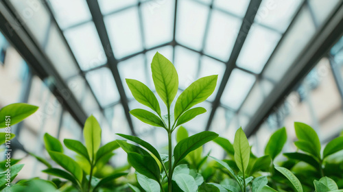 Green Leaves in Modern Botanical Garden with Glass Roof for Enhanced Growth