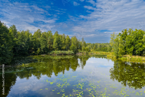 Drone view of Paprocańskie Lake near Tychy