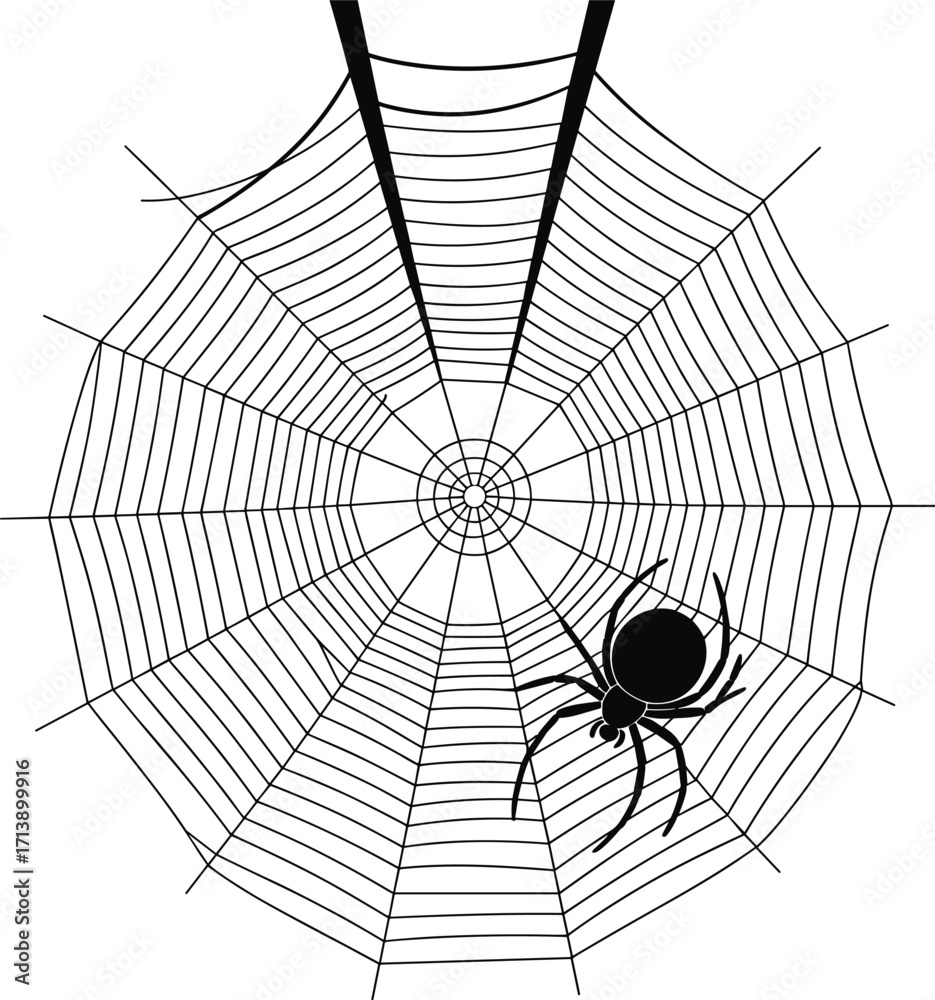 Obraz premium A spooky black and white vector graphic of a spider on its intricate web, perfect for Halloween and symbolizing danger, fear, and creepy crawlies.