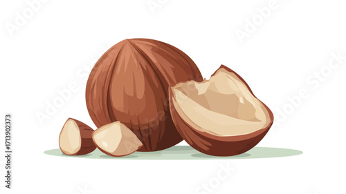 A digital illustration depicting a whole hazelnut and several hazelnut halves against a white background. The hazelnuts are rendered in a realistic style with attention to texture and shading,