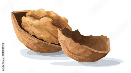 A detailed close-up shot of a cracked walnut shell revealing the kernel inside. The image shows the texture of both the shell and the kernel. The lighting is soft and even, highlighting the details