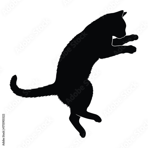 Cat Silhouette: Capturing the graceful arc of a leaping cat against a clean backdrop, the silhouette emphasizes the elegant form and dynamic movement.
